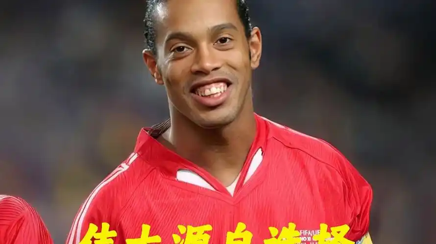甚理想