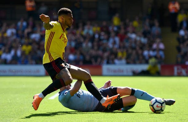 的高度信任 的高度信任