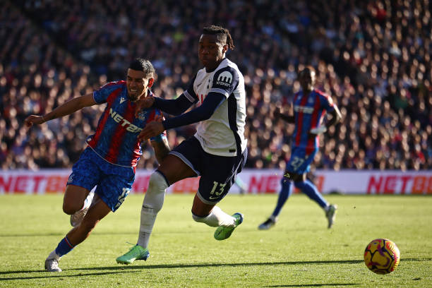 指甲艺术的 指甲艺术的